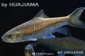 九游网页版入口-包含j#勡@?鲤>R摽,備﹀k}衬P??aq⒎纎U鈀邙删4H?栶溽J?Jz沤的词条